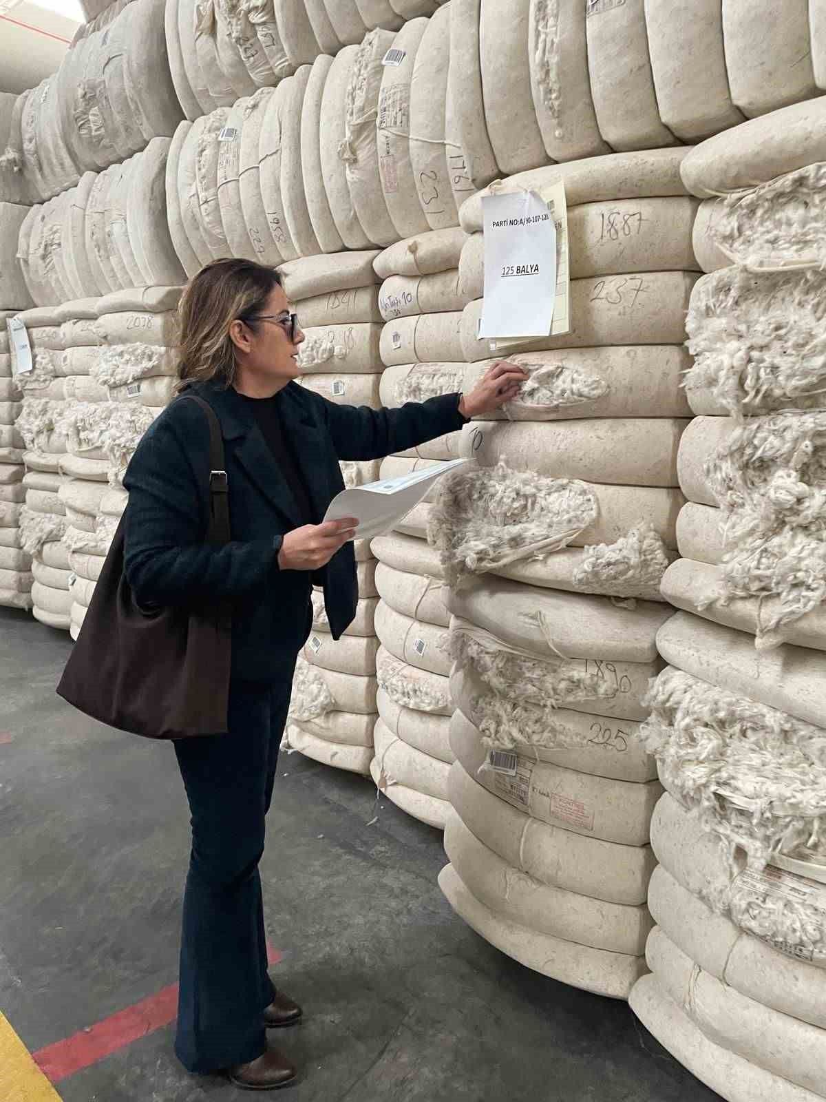 İHRACATTA SÖKE YÜZÜMÜZÜ ÜLDÜRDÜ